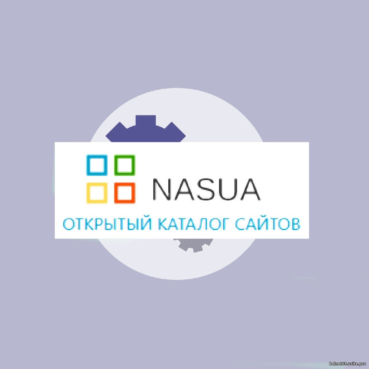 Логотип NASUA