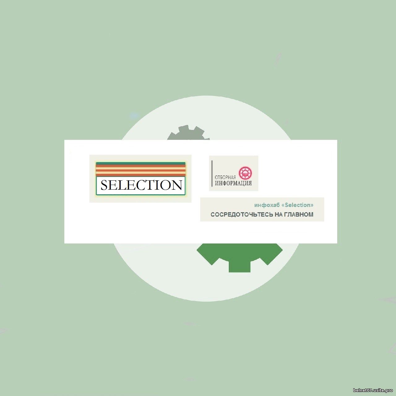 Логотип Selection