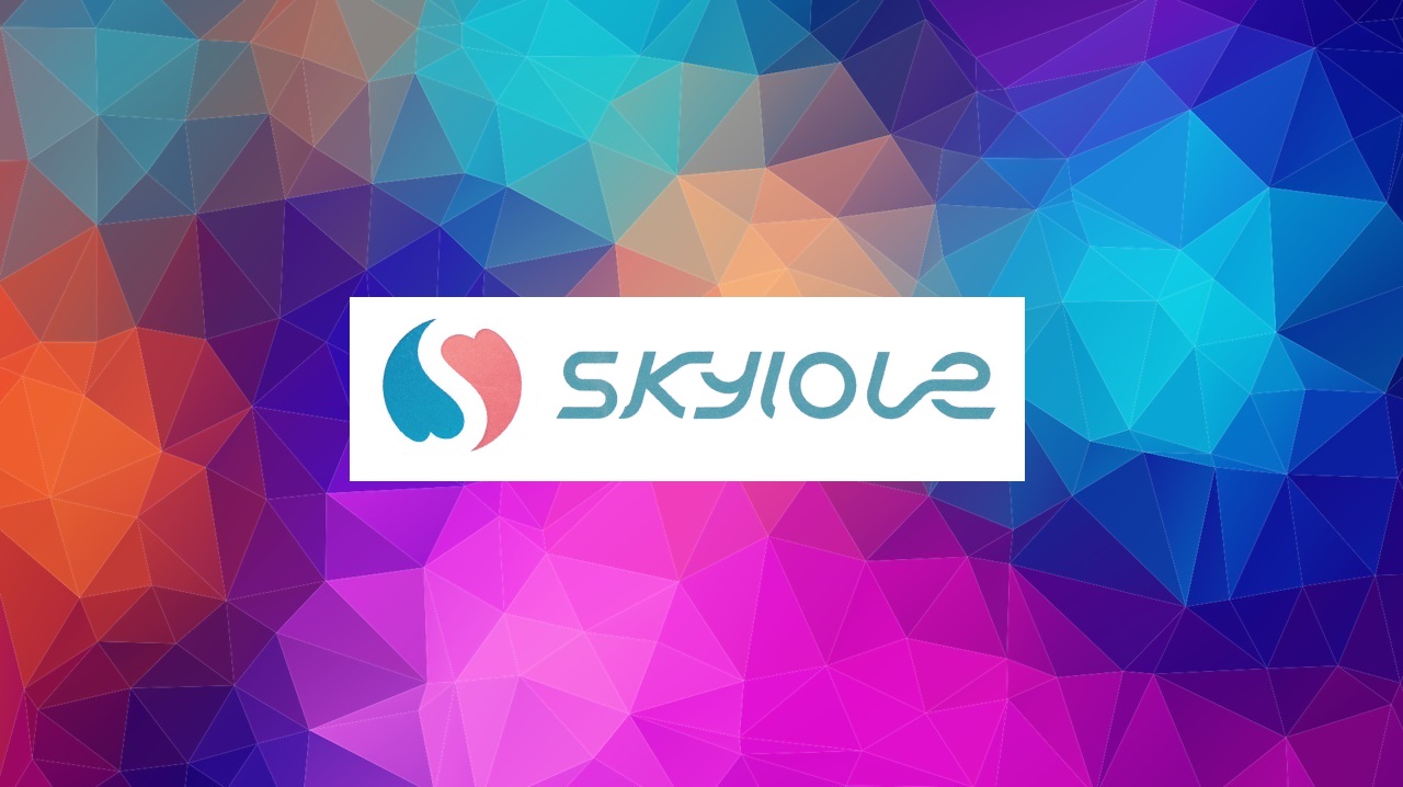 Логотип SkyLove